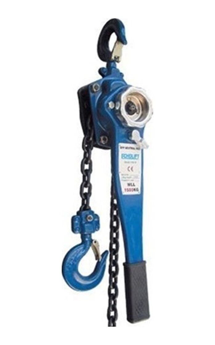 Echolift Hubzug 6 Ton 1.5 M