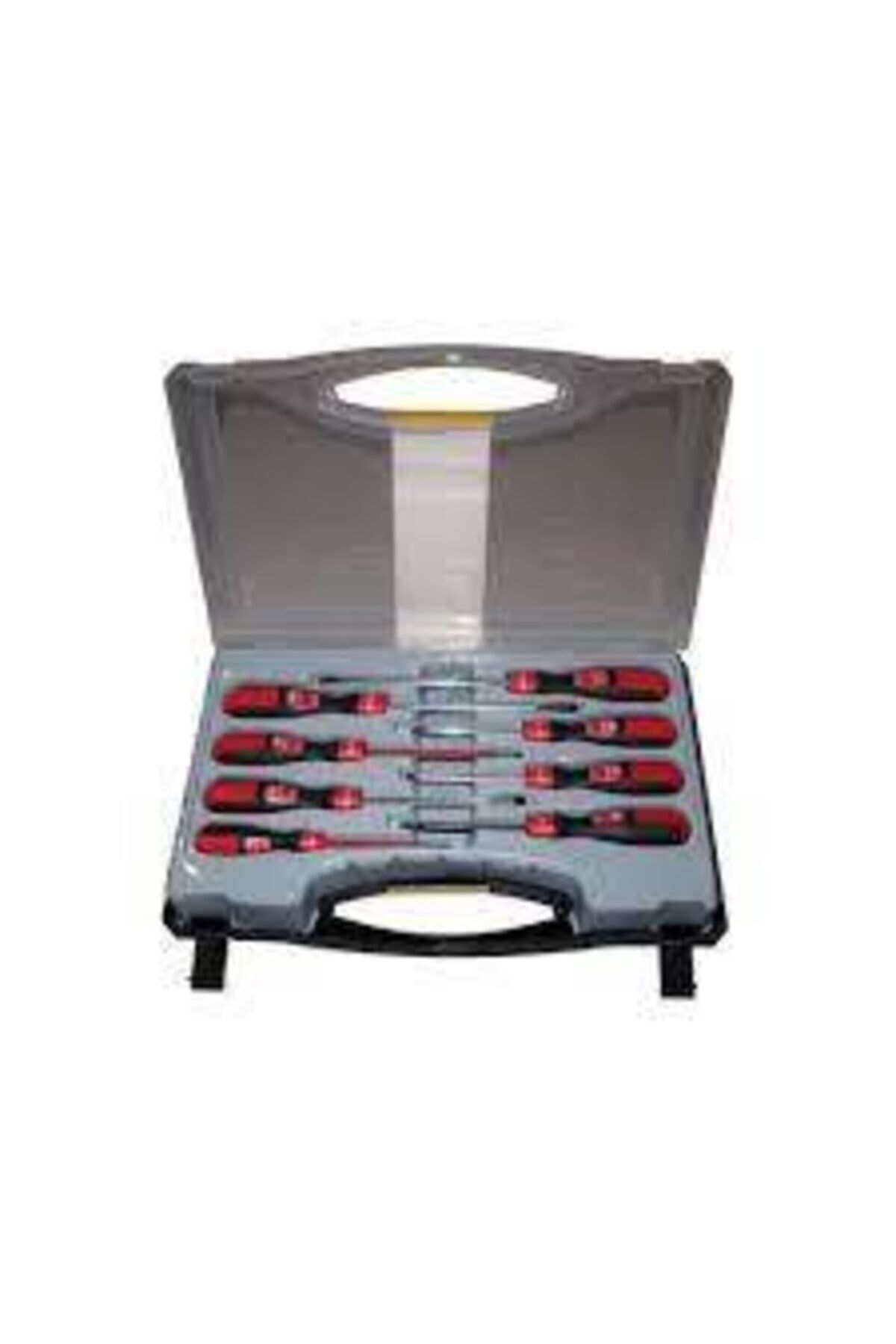 PROSCR TORNAVİDA TAKIMI 02913