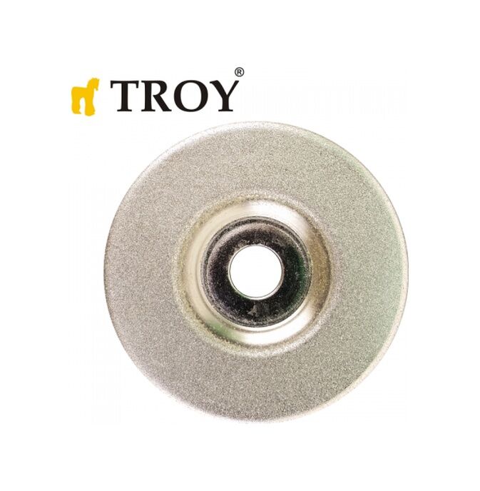 TROY YEDEK AŞINDIRICI DİSK 17056-R